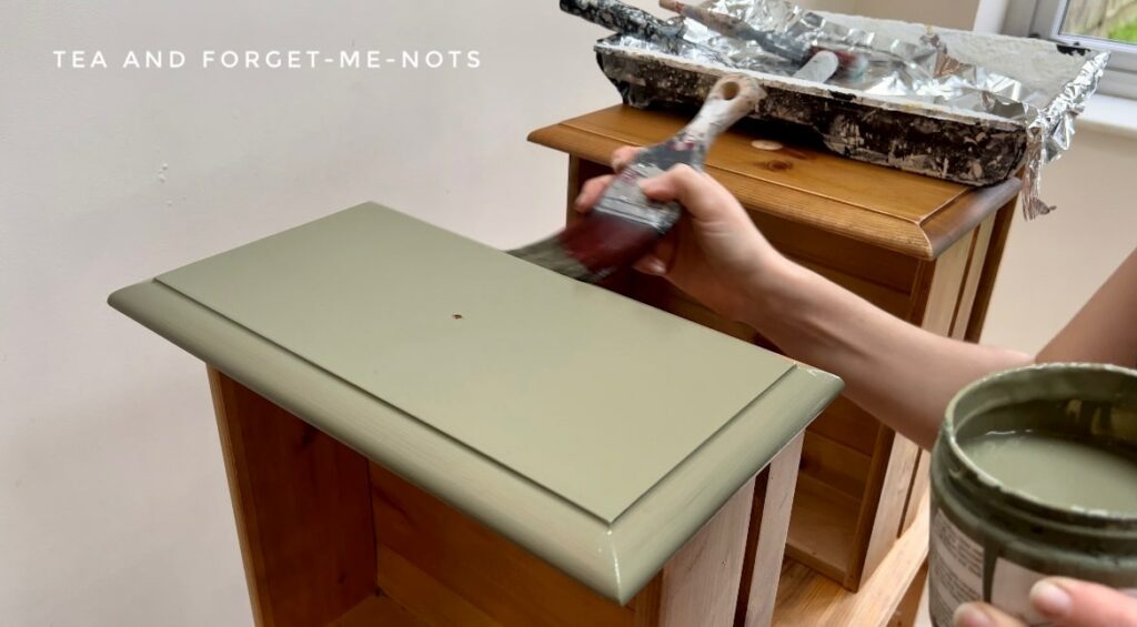 Painting drawers with cactus