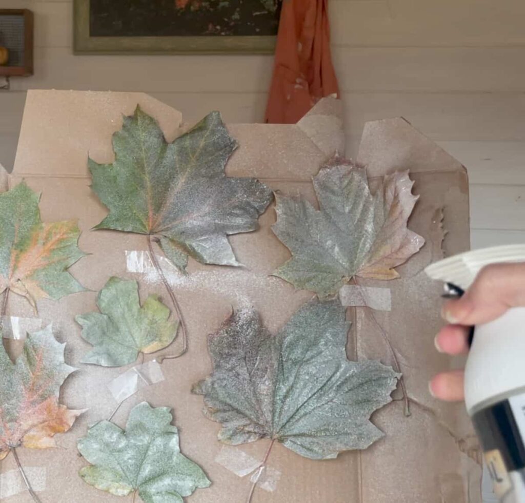 image shows spraying leaves with white paint.