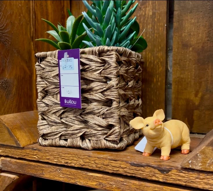 image shows faux plant in pot on charity shop shelf.